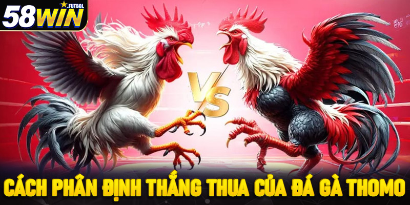 Cách thức phân định thắng thua trong trận đá gà Thomo