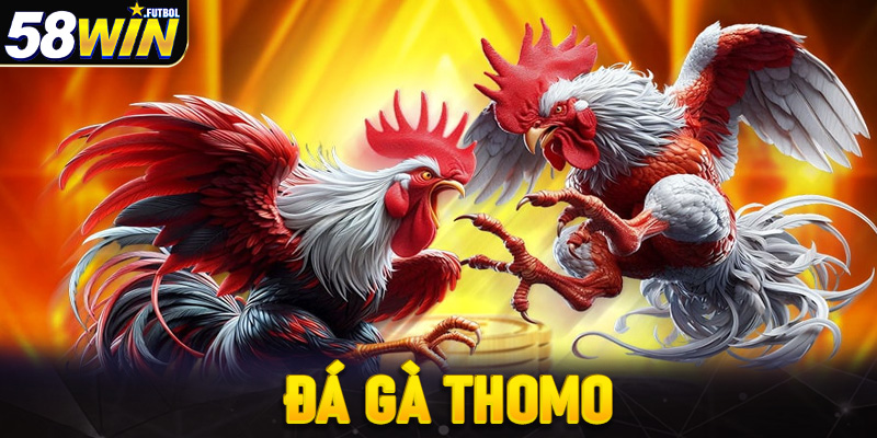 Đá gà thomo